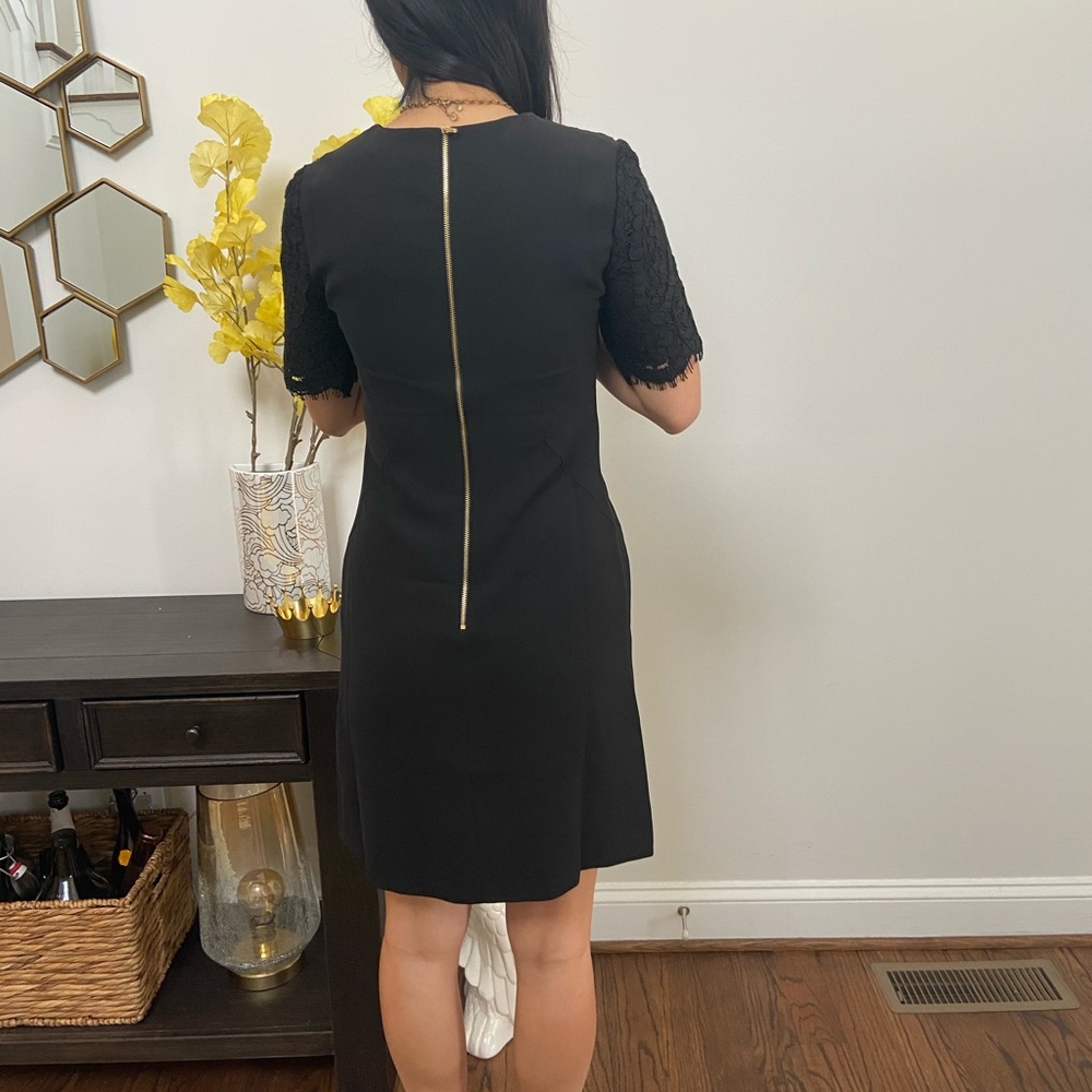 Ted Baker London Sew in Love little black dress - Picture 5 of 9